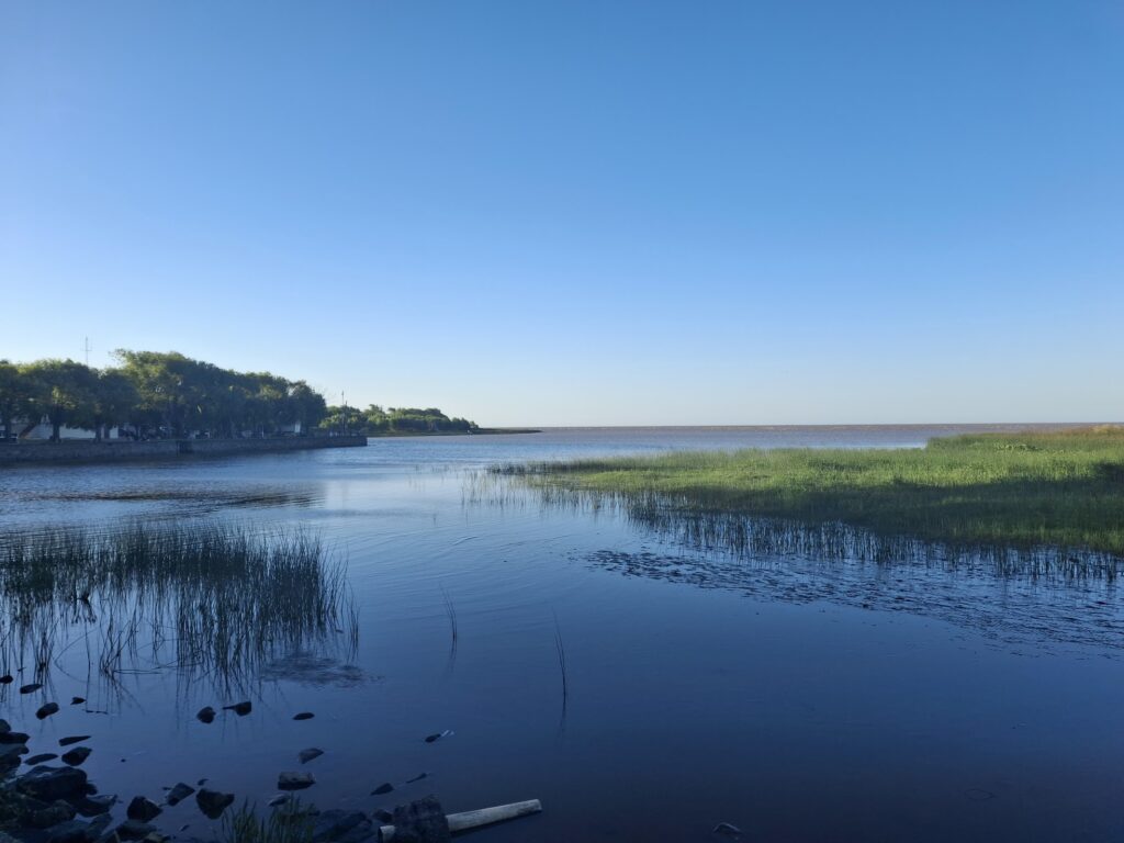 Magdalena - Rio de la Plata