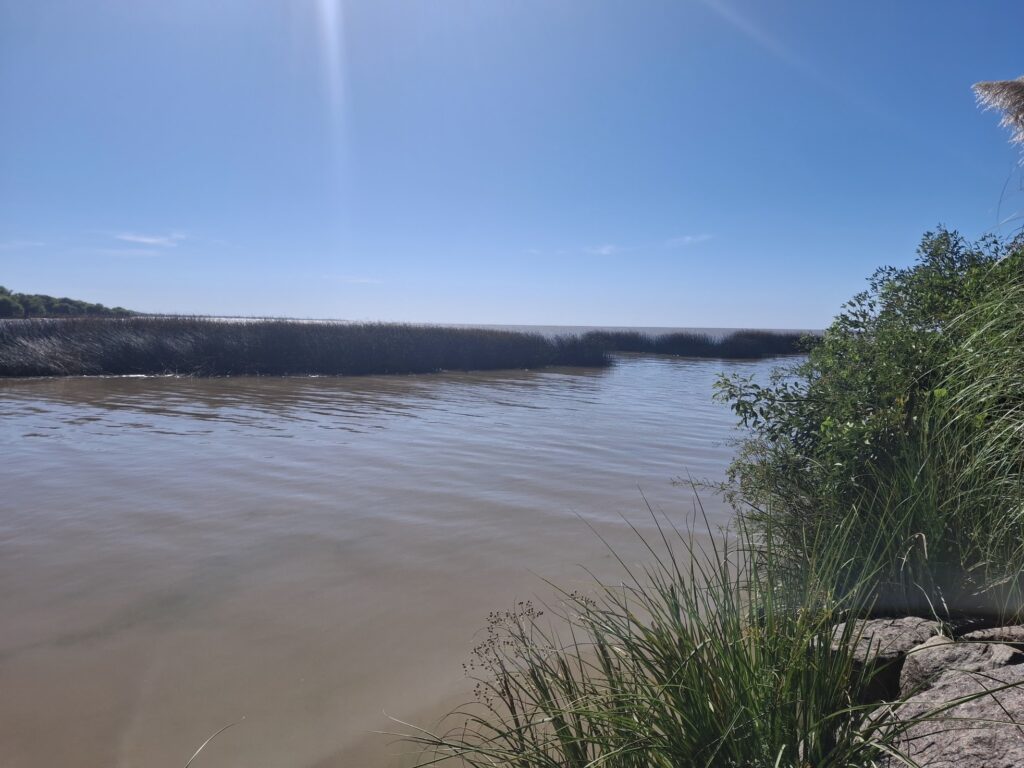 Rio de la Plata - Atalaya