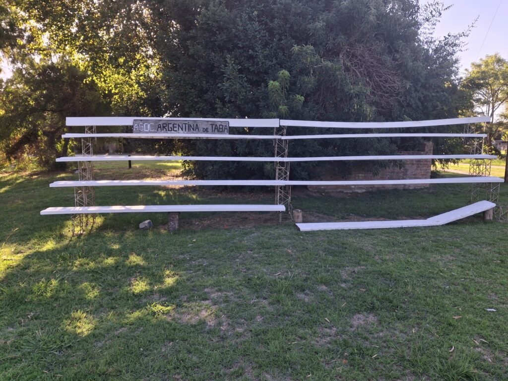 Asociación Argentina de Taba