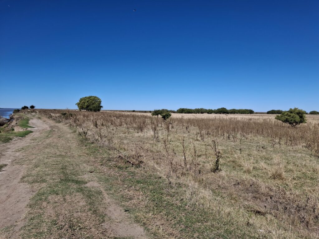 Canal 15 - Cerro la Gloria