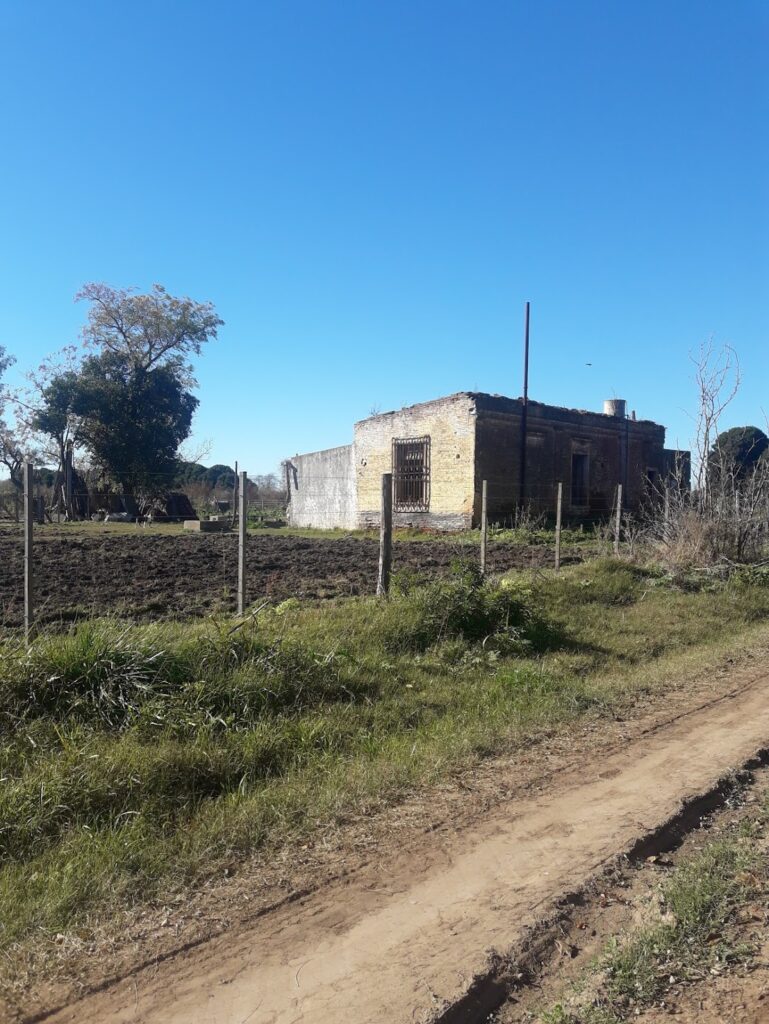 Avenida de la Tradición