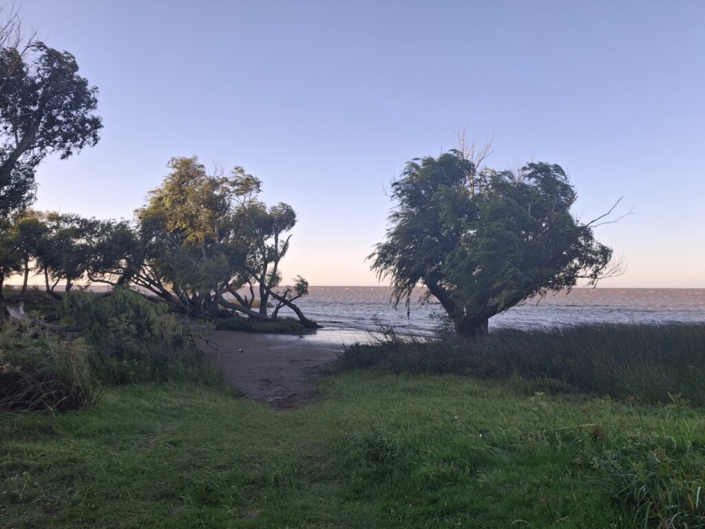 Magdalena - Rio de la Plata