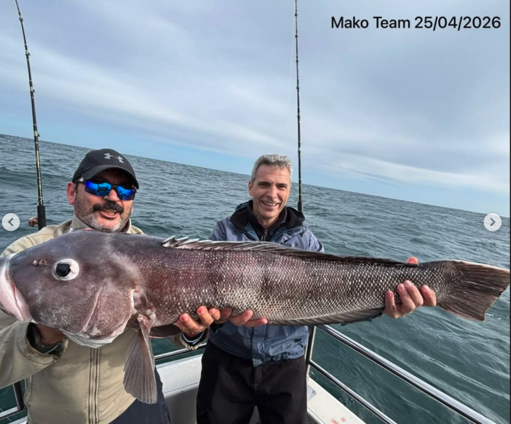 Salmon de mar